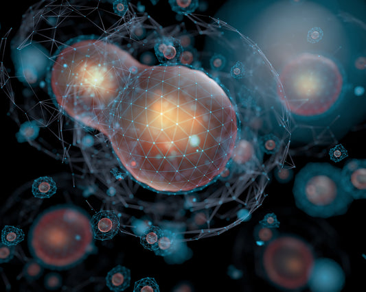 VNI's Unique Nutrient Delivery System